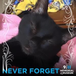 Meet your Posher, Wanda